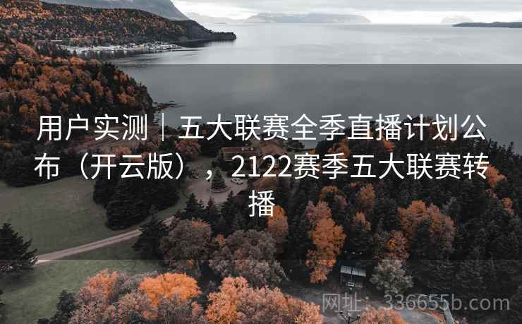 用户实测｜五大联赛全季直播计划公布（开云版），2122赛季五大联赛转播  第2张